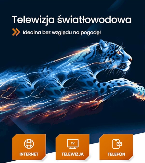 Aktualna oferta